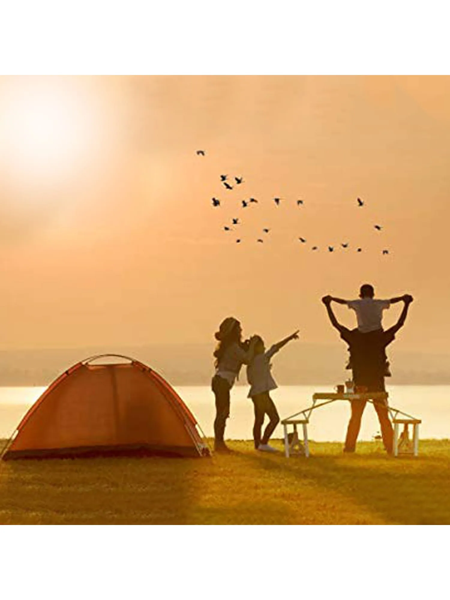 Vector X Waterproof Portable Multicolour Treking/Capmping/Picnic Tent for Outdoor Adventure Tour