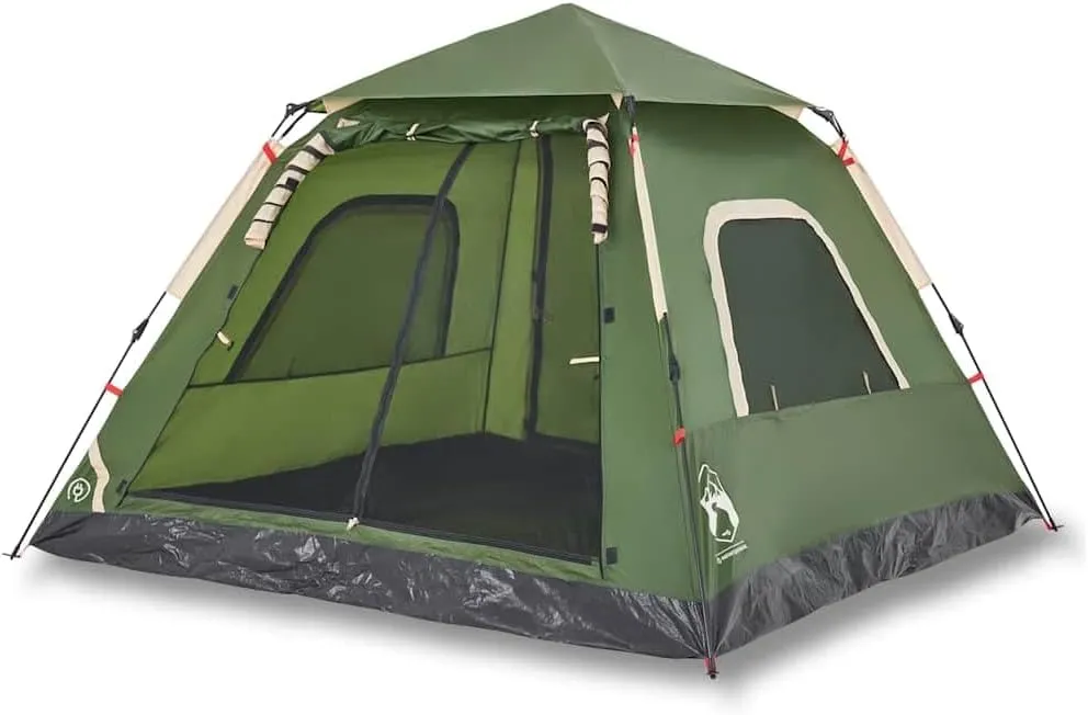vidaXL Camping Tent Dome 5-Person, Garden Shelter, Portable Canopy for Outdoor Patio Hiking, Foldable Dome Tent, Green Quick Release