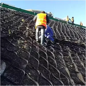 WDJBPSH Ground Stabilisation Grid for Slopes, Heavy Duty Embankment Protection Geocells Grid Paver, 5cm Tall Polyethylene Honeycomb Hillside Support Mesh for Retaining Wall(1mx5m)