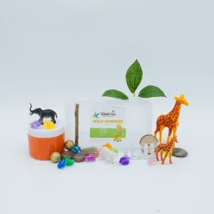 Wild Wonders Mini Sensory Kit, Safari Animals Sensory Play, Cognitive Development and Fine Motor Skills, Tactile Activities for On The Go, Safari Animals Sensory Toys for Preschoolers and Kids Ages 4, 5, 6, 7, 8