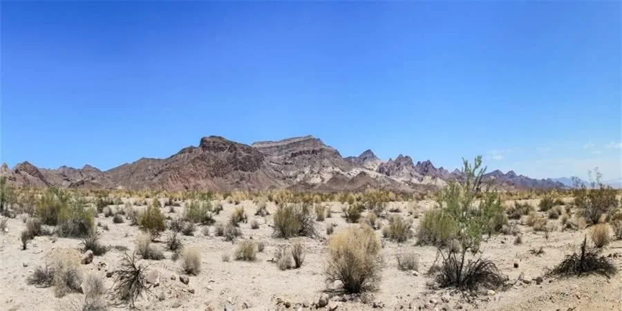 Yeele 10x5ft Desert Mountain Backdrops for Photography Desert Plant Dry Sand Blue Sky Nature Landscape Background Wilderness Hiking Mountain American Travel Photoshoot Video Photo Props Vinyl