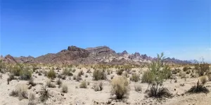 Yeele 10x5ft Desert Mountain Backdrops for Photography Desert Plant Dry Sand Blue Sky Nature Landscape Background Wilderness Hiking Mountain American Travel Photoshoot Video Photo Props Vinyl