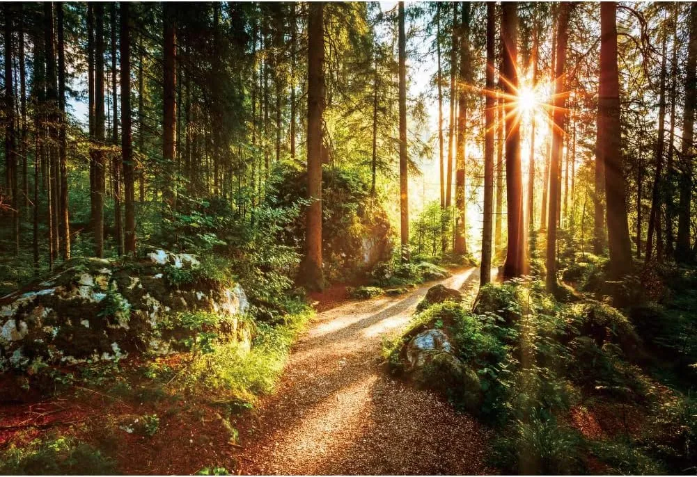 Yeele 10x6.5ft Jungle Forest Backdrop Natural Spring Scenery Sunshine Green Mountain Trees Background Outdoor Picnic Hiking Camping Picture Photoshoot Wedding Photography Background Photobooth Props