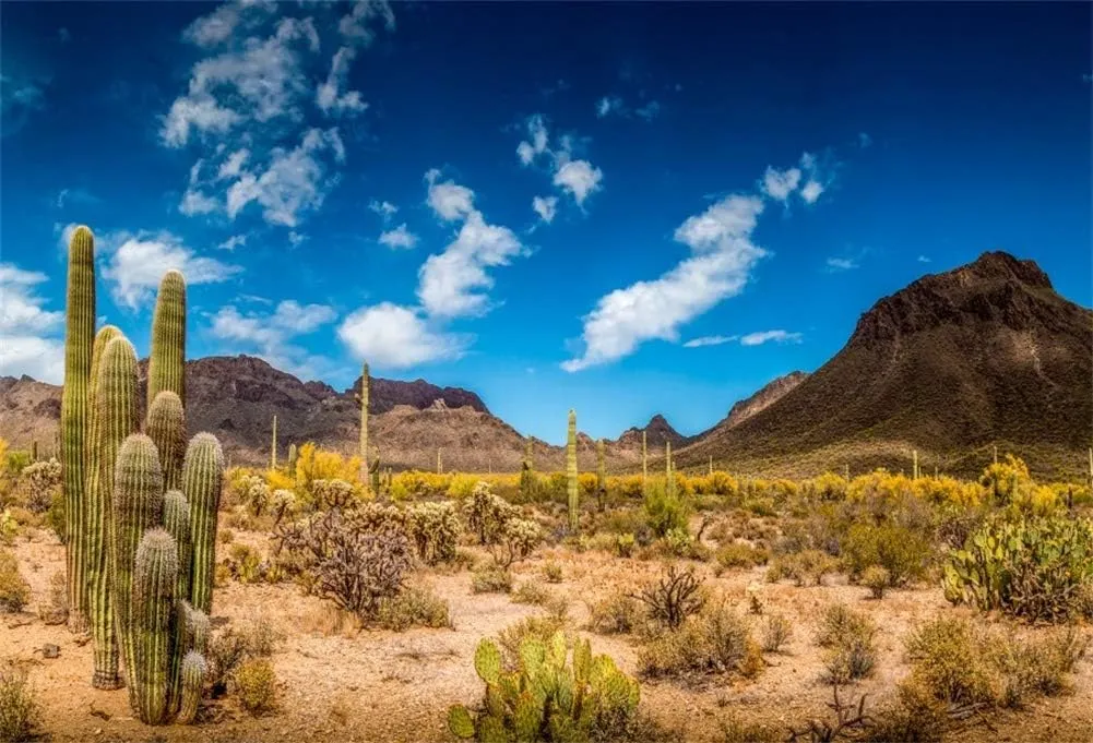 Yeele 7x5ft Desert Mountain Backdrops for Photography Saguaro Cactus Nature Landscape Background Wilderness Hiking Superstition Mountain Baby Girl Boy Photo Video Shoot Vinyl Studio Props