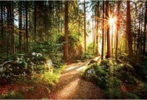 Yeele 9x6ft Jungle Forest Backdrop Natural Spring Scenery Sunshine Green Mountain Trees Background Outdoor Picnic Hiking Camping Picture Photoshoot Wedding Photography Background Photobooth Props