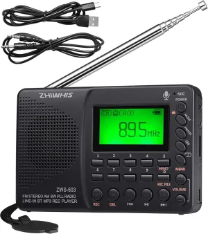 ZHIWHIS Portable Bluetooth Radio, FM AM Shortwave Radios with Sleep Timer and Preset Function, Rechargeable Digital Recorder, Stereo MP3 Player with Lyric Display, Support Micro SD Card and AUX